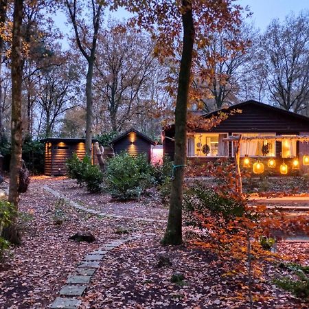 Lodge In Een Bosrijke Omgeving Met Hottub & Sauna Opt Rheezerveen Extérieur photo