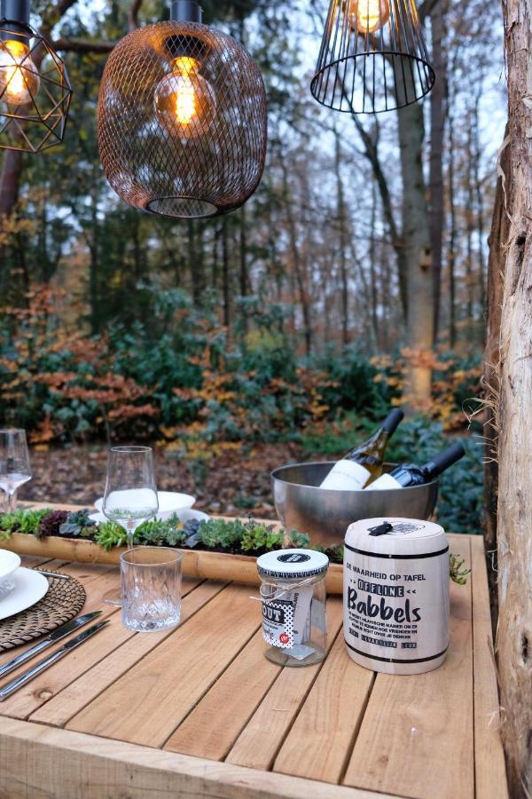 Lodge In Een Bosrijke Omgeving Met Hottub & Sauna Opt Rheezerveen Extérieur photo